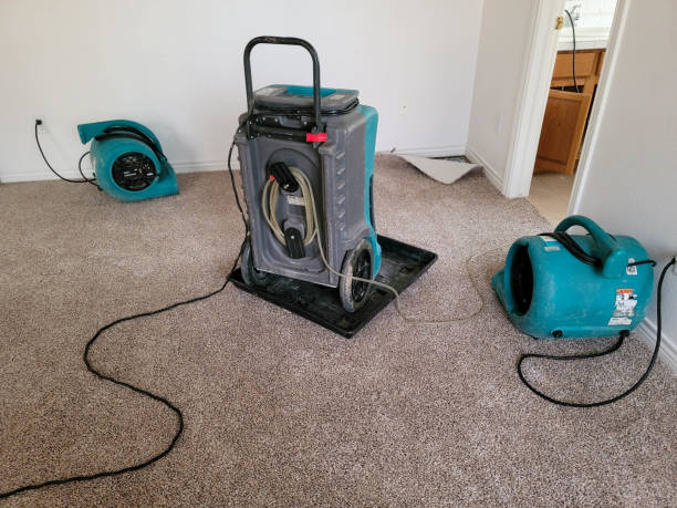 Best Water damage restoration near me  in Ellaville, GA