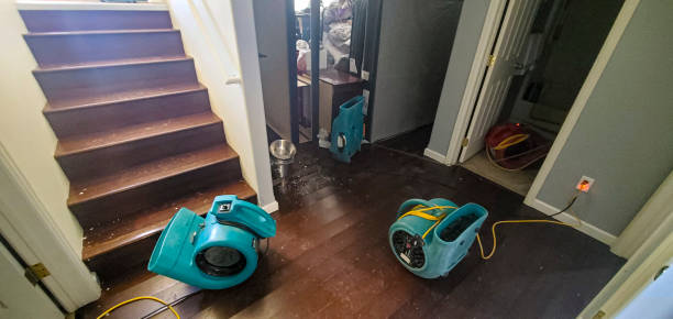 Best Water damage restoration process  in Ellaville, GA