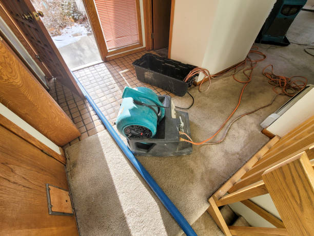 Best Water damage restoration experts  in Ellaville, GA