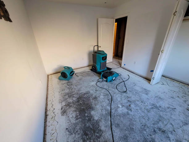 Best Water damage cleanup near me  in Ellaville, GA