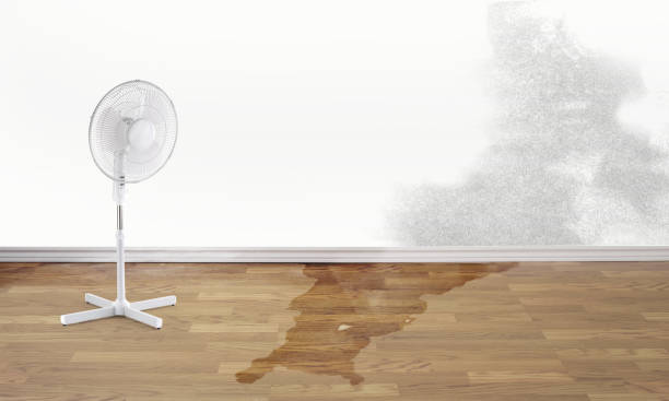 Best Ceiling water damage repair  in Ellaville, GA