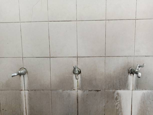 Best Commercial water damage restoration  in Ellaville, GA