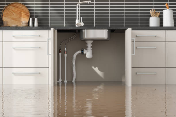 Best Basement water damage restoration  in Ellaville, GA