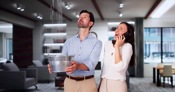  Ellaville, GA Water damage restoration Pros