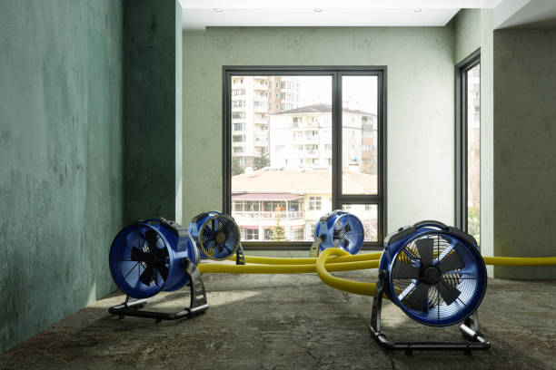 Sewage cleanup and water damage restoration in GA