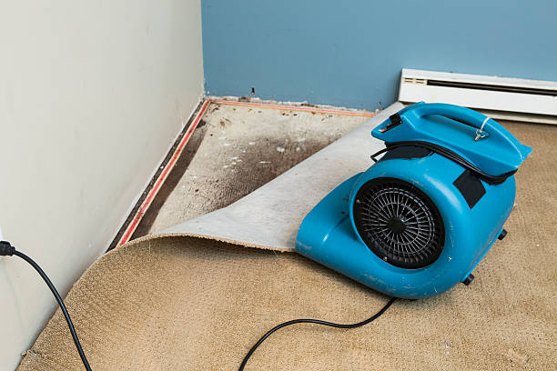 Best Basement water damage restoration  in Ellaville, GA